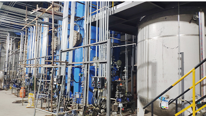 Read More About polymaleic anhydride